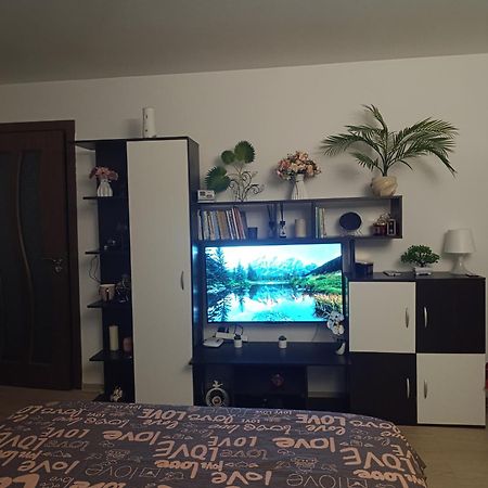 Garsoniera Rebecca Apartment Tirgu Ocna Exterior photo